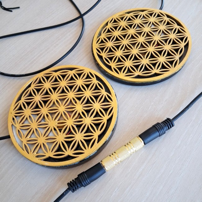 Transducer Polariteit Biocircuits - Eeman Polariteiten therapie