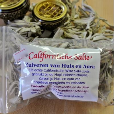 Californische Witte Salie 50 gram